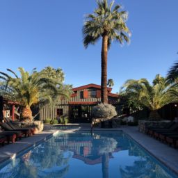 Palm Springs, winter salads, and page-turners